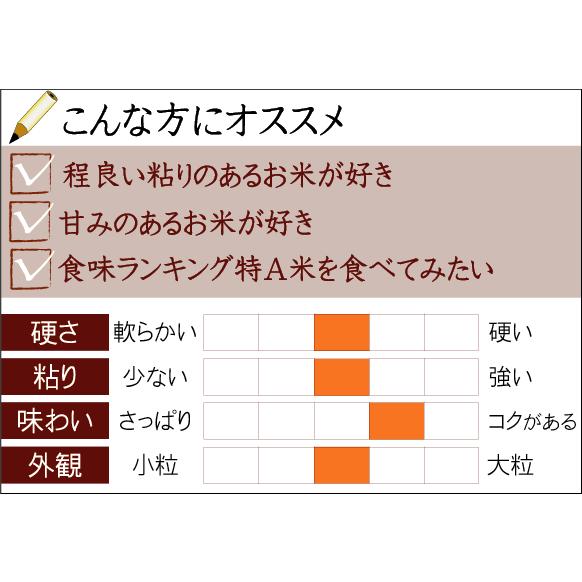決算大セール 令和7年産 10kg ななつぼし 北海道産  精白米 白米 5kg×2  送料無料 特Aの画像