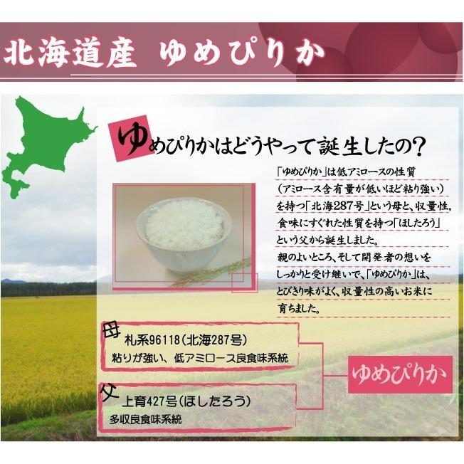 令和7年産 5kg×2 北海道産 ゆめぴりか 10kg 精白米 白米  送料無料 特Aの画像