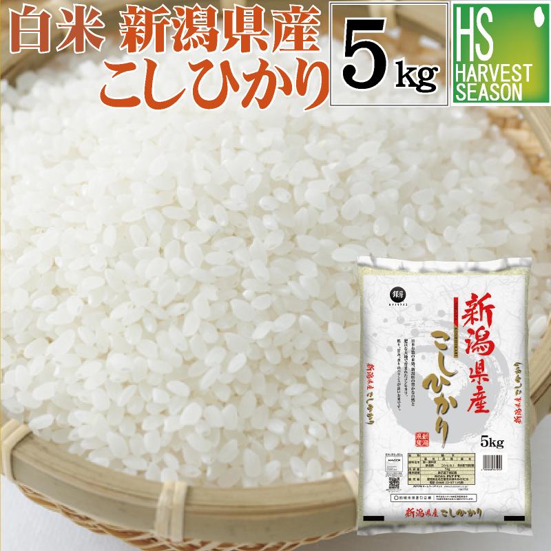 コシヒカリ [お値打ち価格続行] 令和7年産 新潟県産 5kg 米 精白米