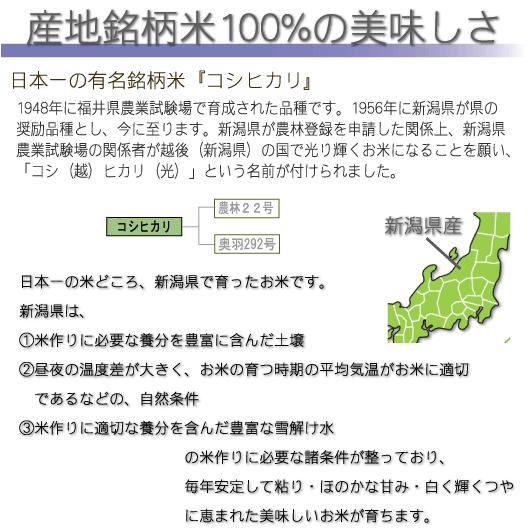 令和5年産 新潟県産 コシヒカリ 10kg 5kg×2袋 米 精白米 白米 送料無料 お米マイスター厳選 HACCP認定工場｜hseason｜04