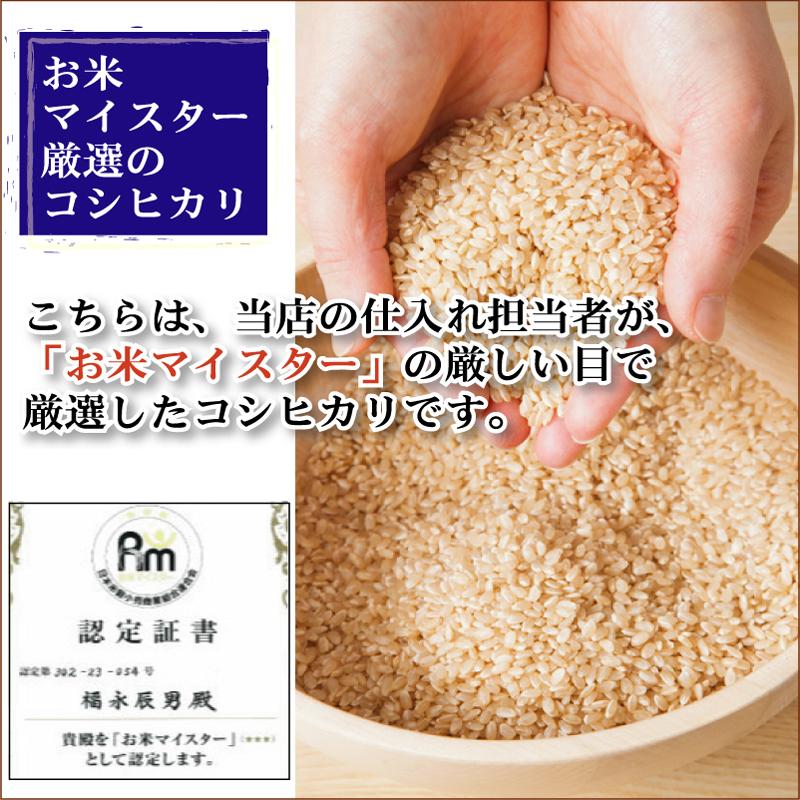コシヒカリ [7年産売尽くしセール] 令和7年産 新潟県産 10kg 5kg×2袋