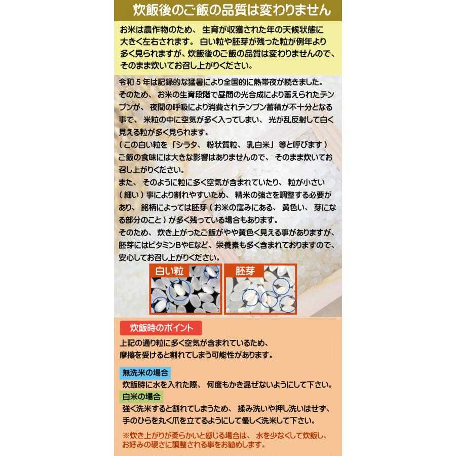 令和5年産 新潟県産 コシヒカリ 10kg 5kg×2袋 米 精白米 白米 送料無料 お米マイスター厳選 HACCP認定工場｜hseason｜05