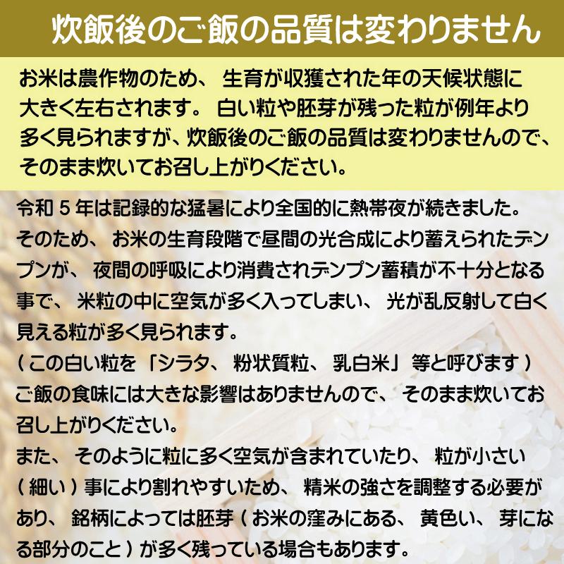 20kg 5kg×4袋 はえぬき 山形県産 白米 精白米 令和5年産 送料無料（SL）｜hseason｜05