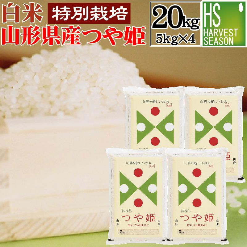 つや姫 令和7年産 5kg×4袋 山形県産 精白米 白米 20kg 特別栽培米 送料