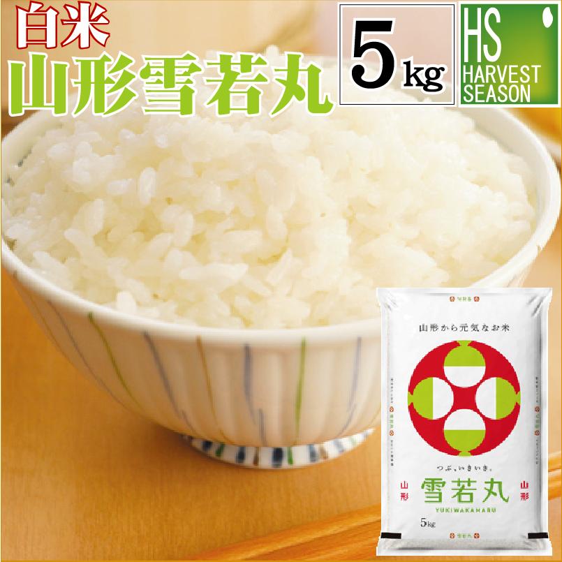 お値打ち価格続行] 令和7年産 雪若丸 米 お米 5kg 白米 山形県産 送料