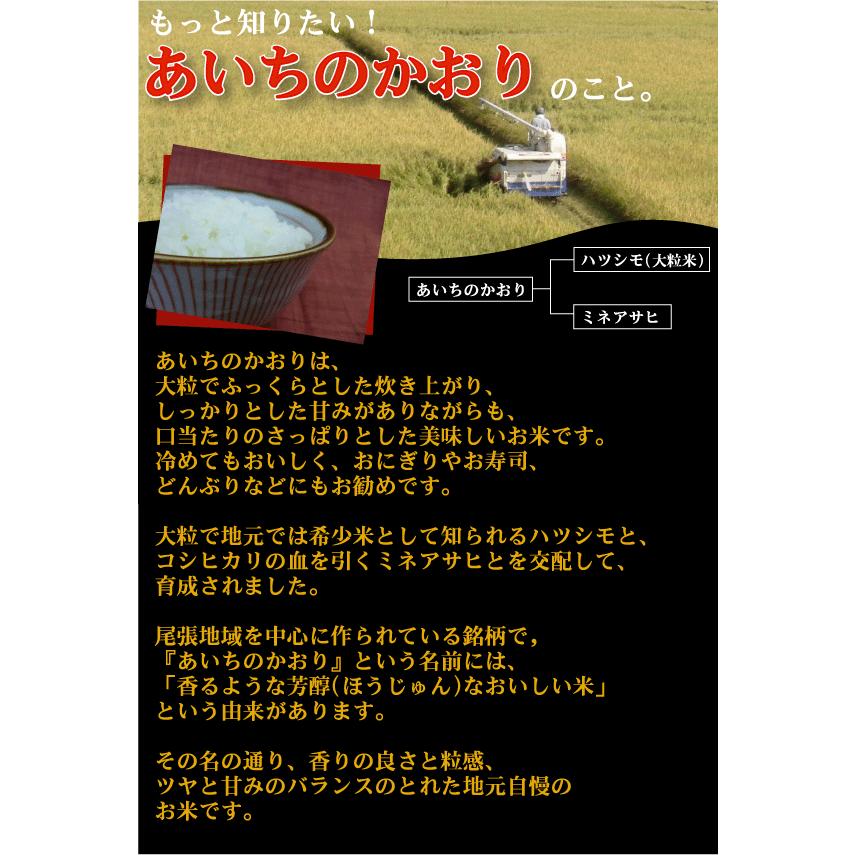 無洗米 5kg 愛知県産 あいちのかおり 大粒米 令和5年産 送料無料｜hseason｜05