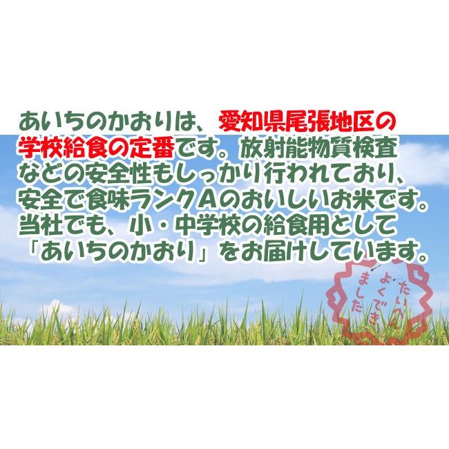 無洗米 5kg 愛知県産 あいちのかおり 大粒米 令和5年産 送料無料｜hseason｜07