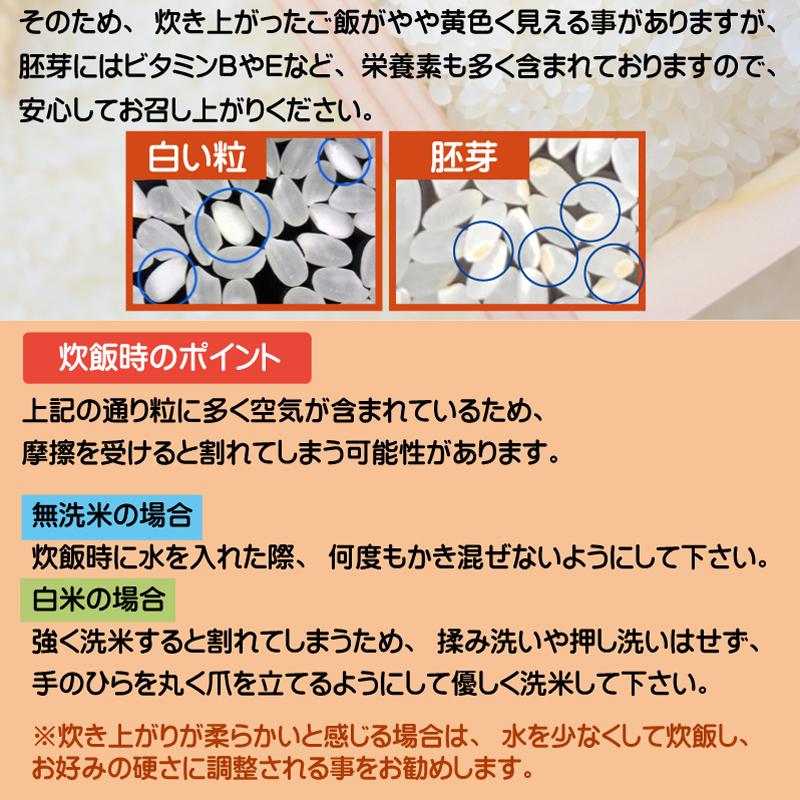 コシヒカリ 令和6年産 無洗米 5kg×2袋 三重県産 10kg 多気農協 コシヒカリ 令和6年産 無洗米 5kg×2袋 三重県産 10kg 多気農協