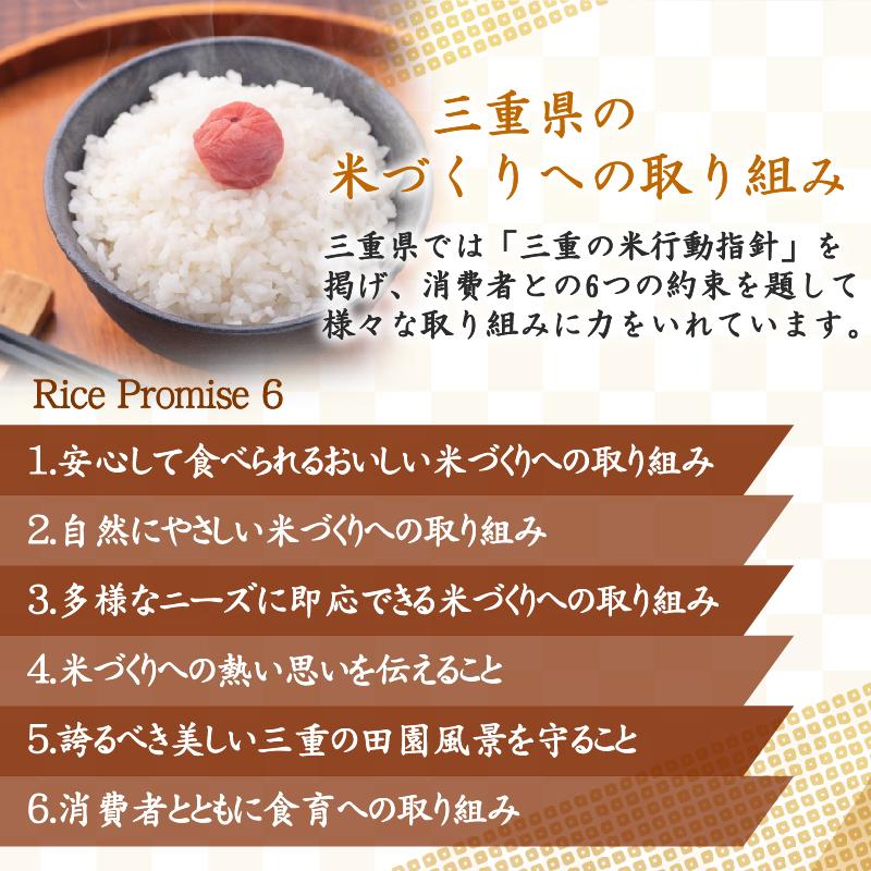 コシヒカリ [20周年記念大特価＆抽選プレゼント] 令和7年産 無洗米 5kg