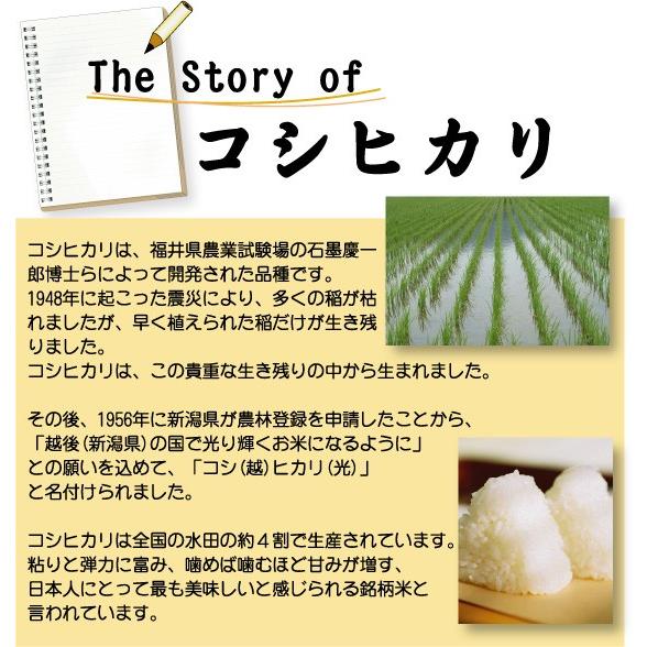 無洗米 5kg×2袋 コシヒカリ 三重県産 10kg 令和5年産 多気農協 ぎんひめ限定 送料無料｜hseason｜08