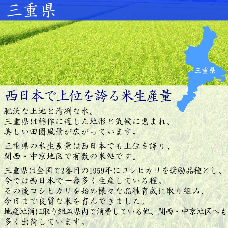 無洗米 20kg 5kg×4袋 三重県産 コシヒカリ 令和5年産 多気農協 ぎんひめ限定 送料無料｜hseason｜07