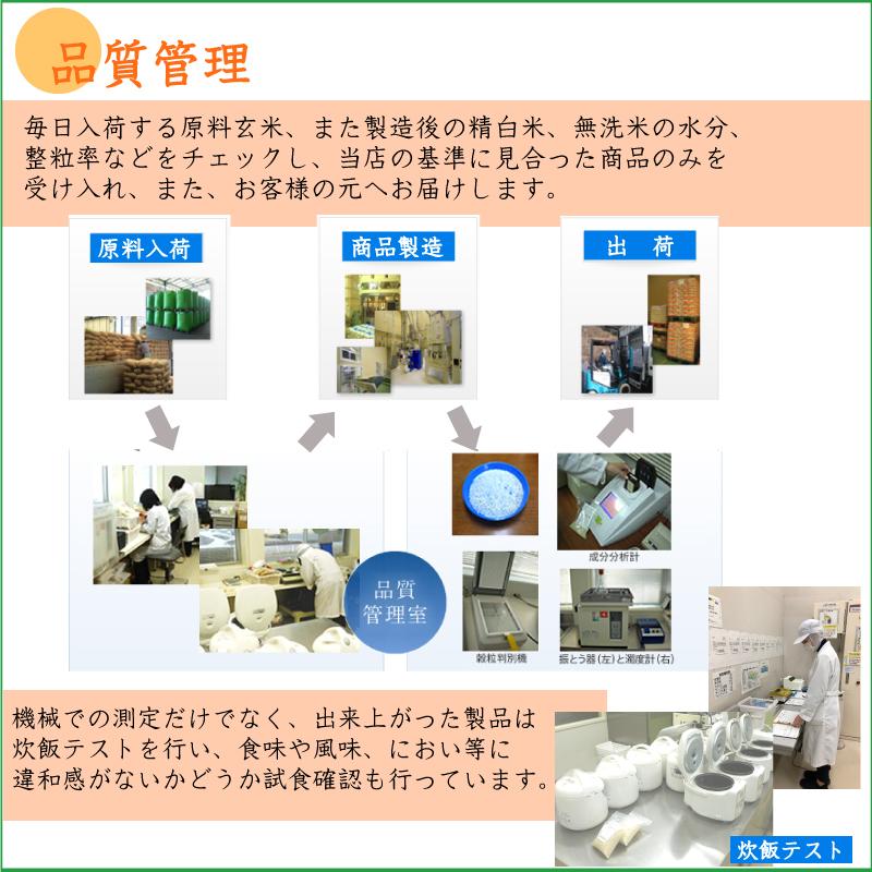 ミルキークイーン [お値打ち価格続行] 令和7年産 無洗米 5kg 福井県産