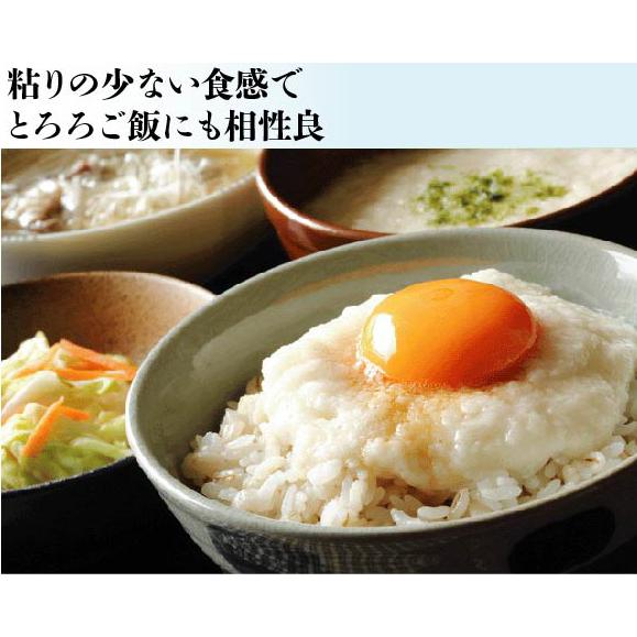 家計応援米 無洗米 アメリカ産 カルローズ 10kg (5kg×2) うるち 家計応援米 無洗米 アメリカ産 カルローズ 10kg (5kg×2) うるち