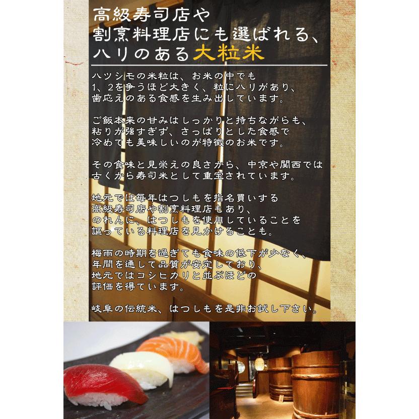 ハツシモ [さらにお値打ち価格] 令和7年産 無洗米 5kg 岐阜県産 はつし