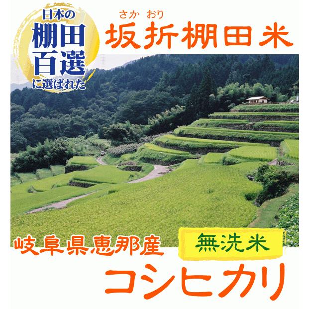 コシヒカリ 数量限定 無洗米 岐阜県恵那産 坂折棚田 5kg 令和3年産