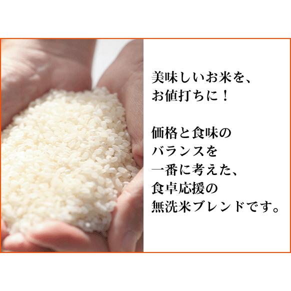 無洗米 穂風 ほのか 10kg 5kg×2 令和6年産配合 国内産100％使用