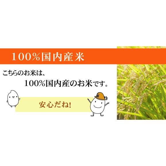 更にお値打ち価格] 無洗米 穂風 ほのか 5kg 令和7年産配合 国内産100