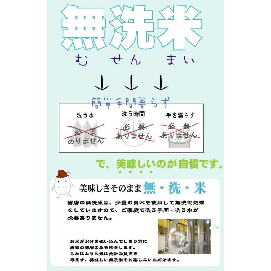 令和5年産 無洗米 5kg×2 ななつぼし 北海道産 10kg 送料無料  特A 特別栽培米｜hseason｜05