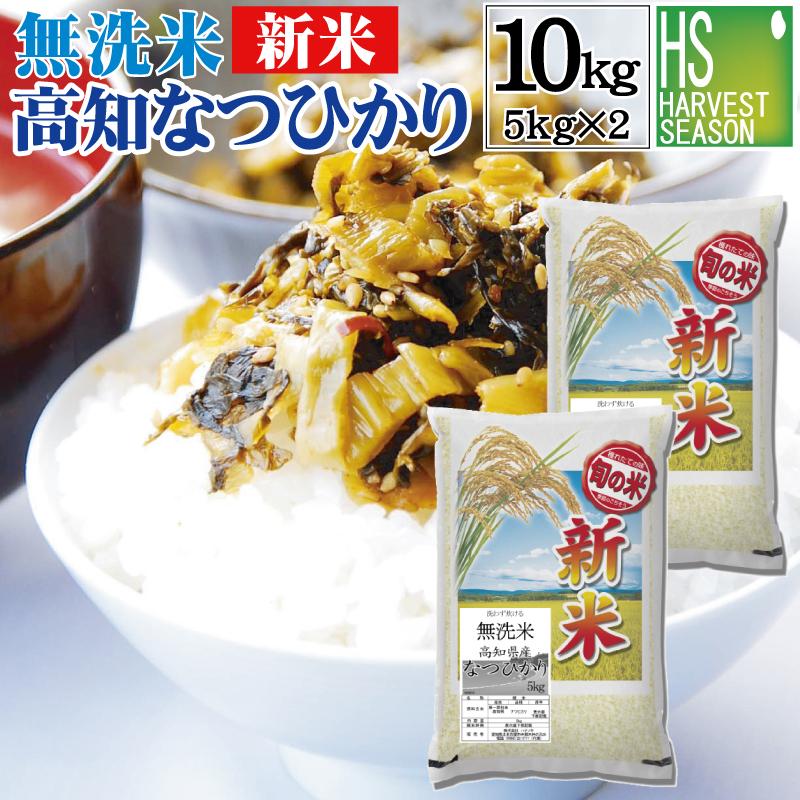 ヒノヒカリ 白米10kg（5kgx2）高知県 令和6年産 お米 精米発送