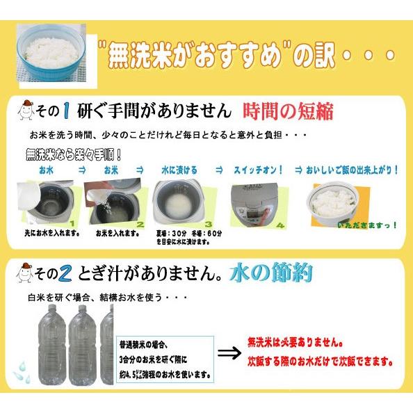 [新米終了間近！] 新米 10kg 無洗米 宮崎県産 コシヒカリ 5kg×2袋 令和5年産 送料無料 (SL) SI｜hseason｜09