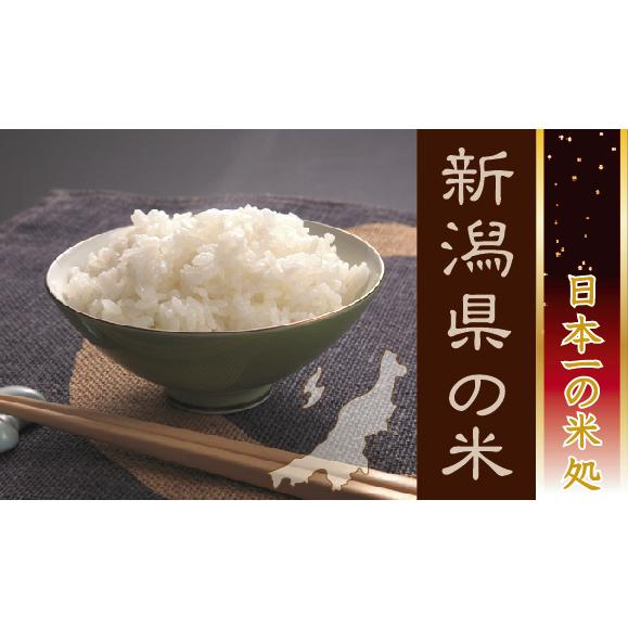 コシヒカリ 【7年産売尽しセール】令和7年産 無洗米 10kg 5kg×2 新潟県