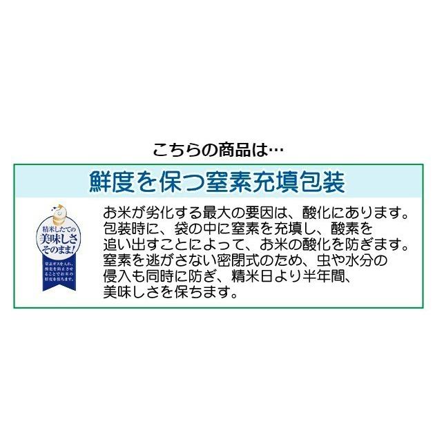 無洗米 新潟県産コシヒカリ 2合(300g) ×3袋 メール便送料込み 令和5年産 米 食品 お試し｜hseason｜10