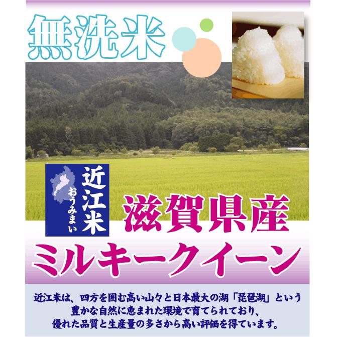 令和6年産　ミルキークイーン　無洗米　10kg ミルキークイーン 令和6年産 無洗米 10kg 滋賀県産 近江米 5kg×2