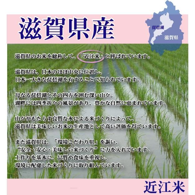 無洗米 10kg ミルキークイーン 滋賀県産 近江米 5kg×2袋 令和5年産 送料無料｜hseason｜04