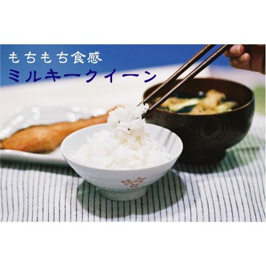 ミルキークイーン 令和6年産 無洗米 10kg 滋賀県産 近江米 5kg×2