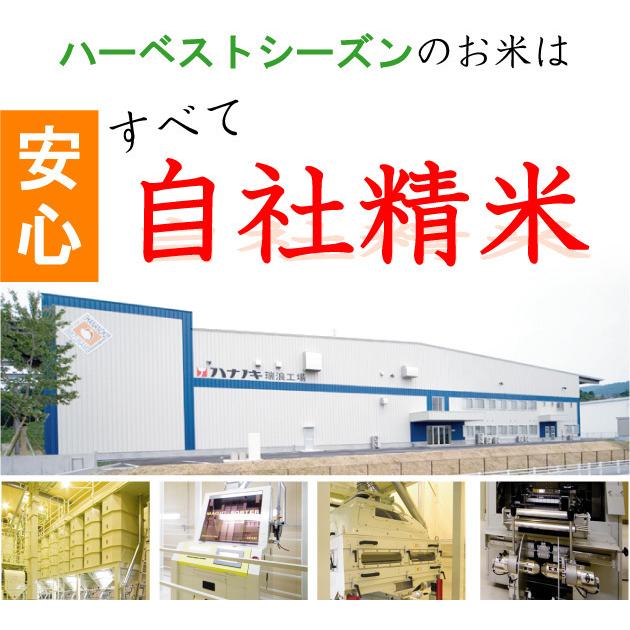 無洗米 10kg ミルキークイーン 滋賀県産 近江米 5kg×2袋 令和5年産 送料無料｜hseason｜10