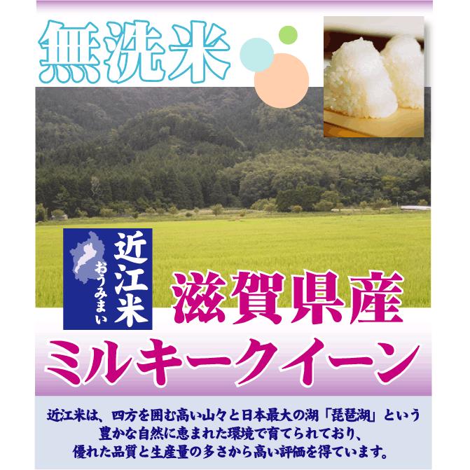 無洗米 5kg ミルキークイーン 滋賀県産 近江米 令和5年産 送料無料｜hseason｜02