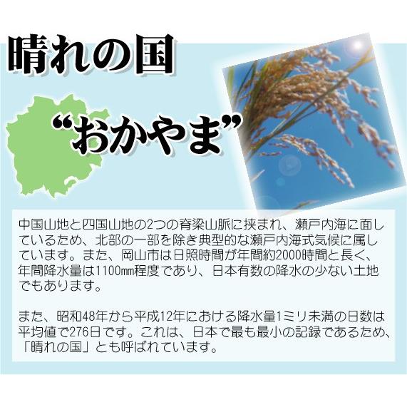 令和5年産 無洗米 5kg×2 あきたこまち 10kg 岡山県産 お米 送料無料｜hseason｜07