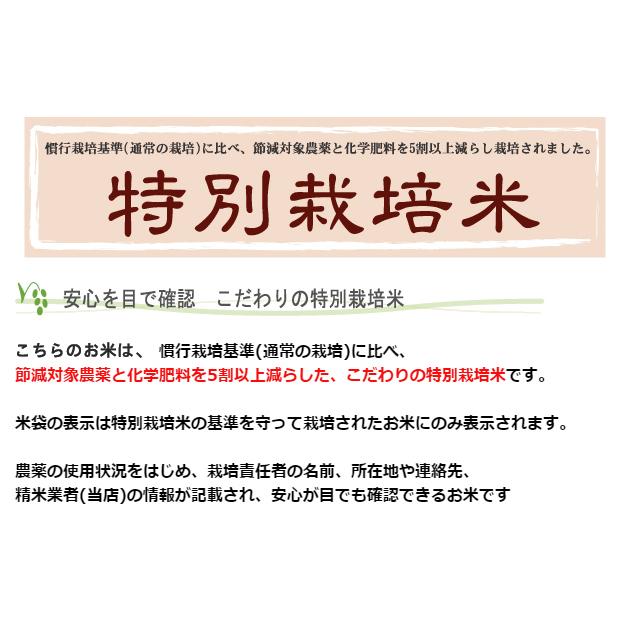 令和5年産 無洗米 5kg×2 はえぬき 10kg 山形県産 特別栽培米 お米 送料無料｜hseason｜07