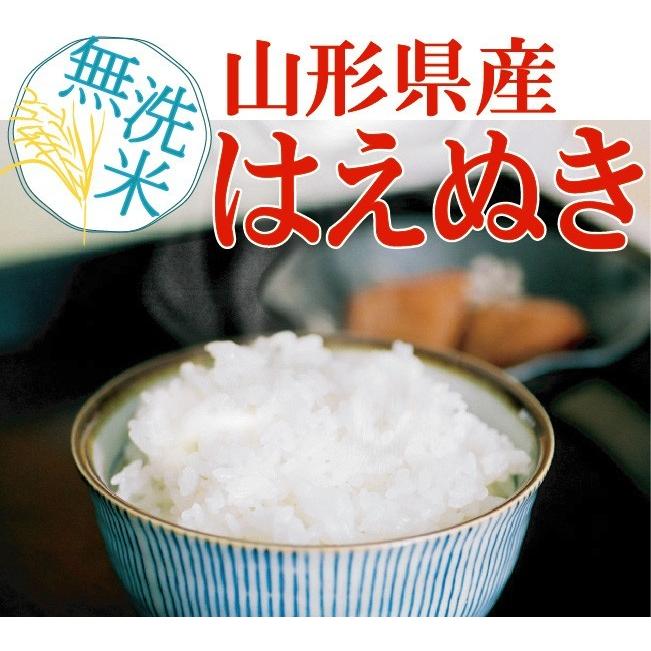 はえぬき [更にお値打ち価格] 令和7年産 無洗米 5kg×4 20kg 山形県産