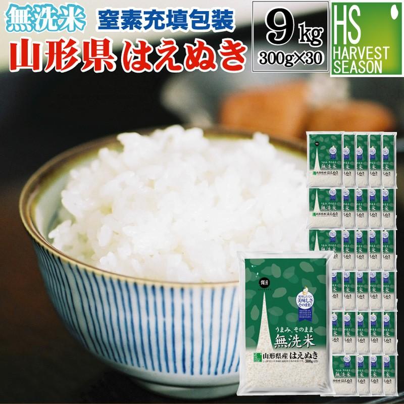 はえぬき 令和7年産 無洗米 山形県産はえぬき 2合(300g) ×30袋 宅配便