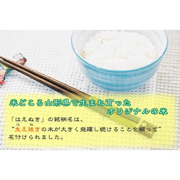 無洗米 山形県産はえぬき 2合(300g) ×3袋 メール便送料込み 令和5年産 米 食品 お試し｜hseason｜03