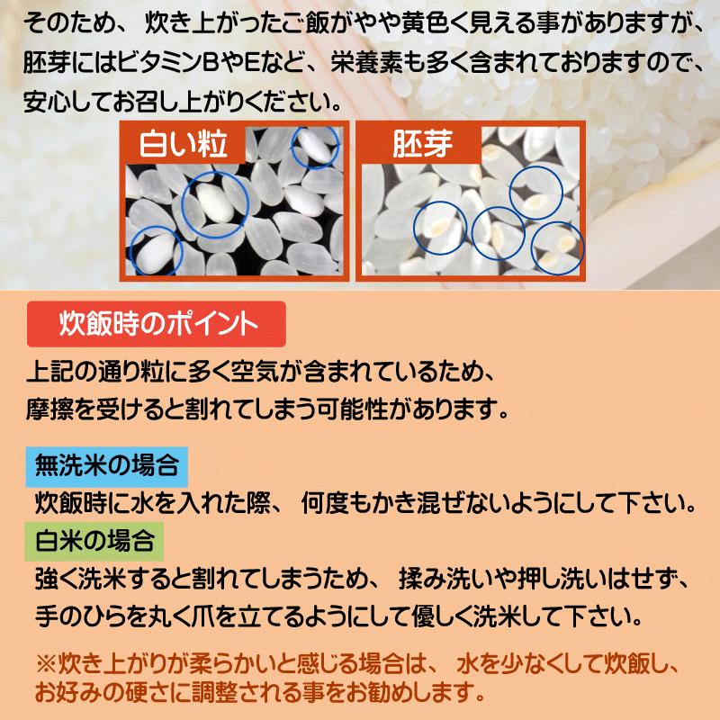 無洗米 山形県産はえぬき 2合(300g) ×3袋 メール便送料込み 令和5年産 米 食品 お試し｜hseason｜06