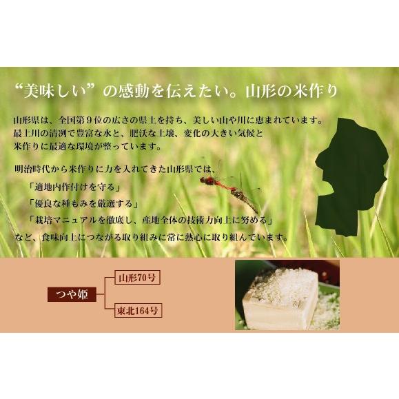 令和5年産 無洗米 5kg×2袋 つや姫 山形県産 10kg 米 お米 送料無料｜hseason｜05