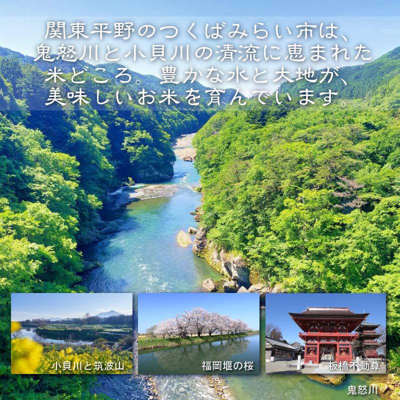 コシヒカリ [精米時期訳あり]令和7年産 無洗米 5kg×2 茨城県 つくば