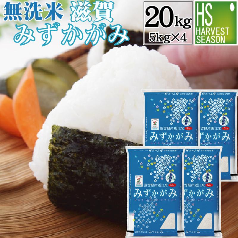 期間限定特価] 令和7年産 無洗米 5kg×4 みずかがみ 滋賀県産 20kg 送料