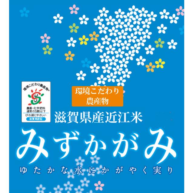 7年産最終売り尽くし】 令和7年産 無洗米 5kg みずかがみ 滋賀県産
