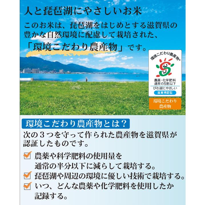 7年産最終売り尽くし】 令和7年産 無洗米 5kg みずかがみ 滋賀県産
