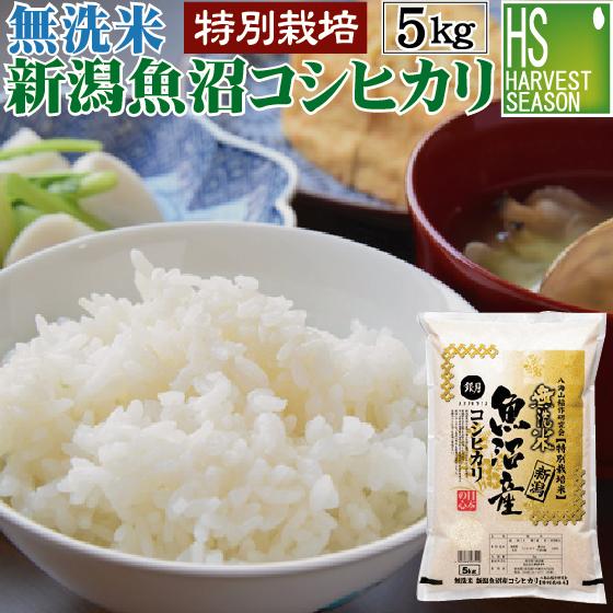 コシヒカリ 令和6年産 無洗米 5kg 新潟県 魚沼産 送料無料 特別 コシヒカリ 令和6年産 無洗米 5kg 新潟県 魚沼産 送料無料 特別