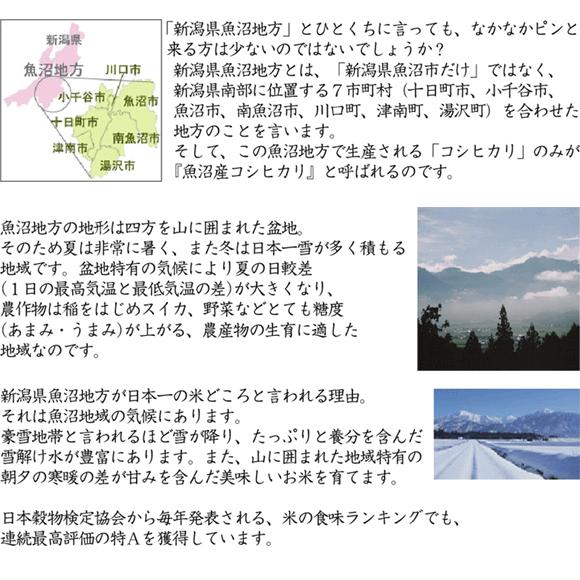 無洗米 5kg×2 新潟県 魚沼産 コシヒカリ 10kg 令和5年産 送料無料 特別栽培米 特A｜hseason｜03