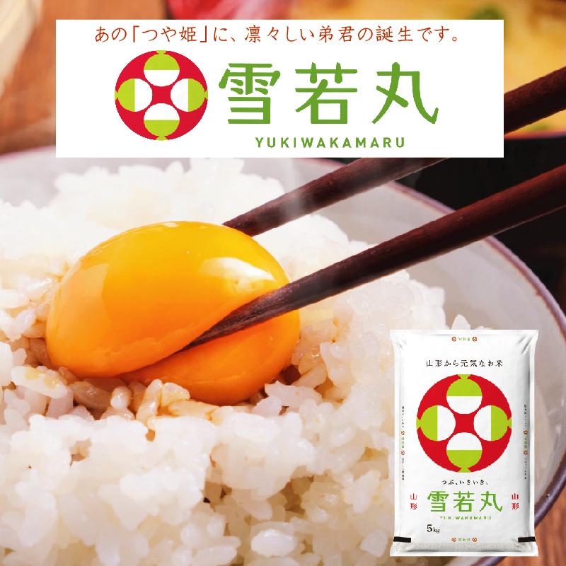 令和6年産 雪若丸 米 お米 20kg 無洗米 山形県産 5kg×4袋 送料 令和6年産 雪若丸 米 お米 20kg 無洗米 山形県産 5kg×4袋 送料