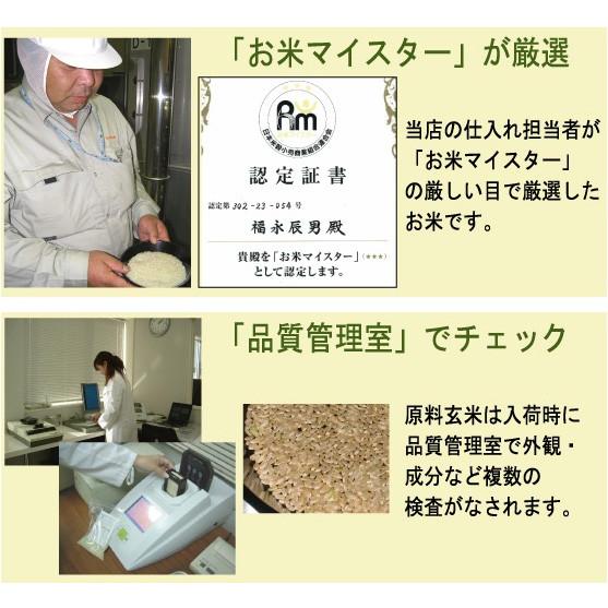 令和5年産 雪若丸 米 お米 5kg 無洗米 山形県産 送料無料 精米HACCP認定工場｜hseason｜12