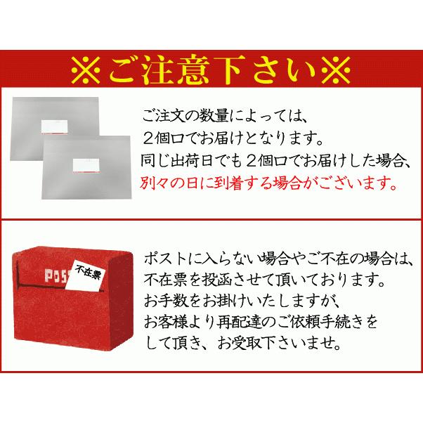 はえぬき 令和7年産 無洗米 山形県産はえぬき 2合(300g) ×1袋 メール便