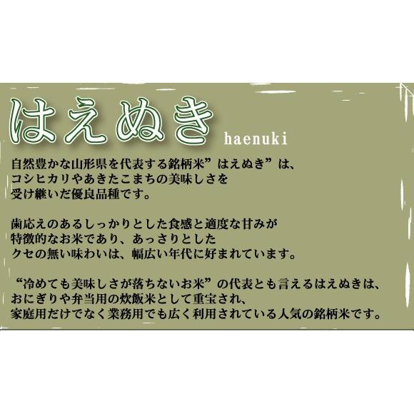 令和五年のはえぬきです。 令和7年産】はえぬき（5kg）: JA鶴岡|【JAタウン】産地直送 通販 お