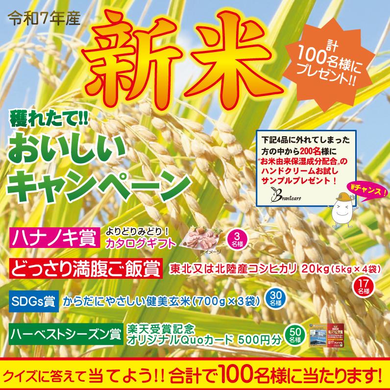 はえぬき 令和7年産 無洗米 山形県産はえぬき 2合(300g) ×1袋 メール便