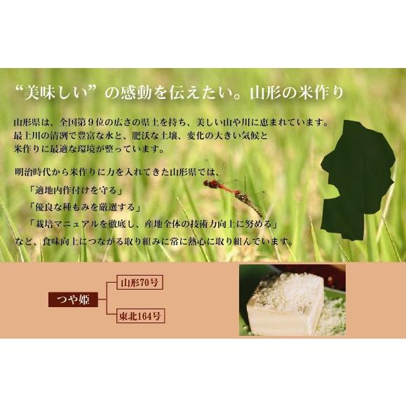 つや姫 [ギフト エコ包装] 令和7年産 無洗米 山形県産つや姫5kg+北海道